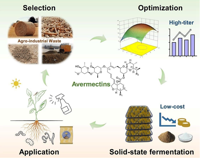 From Agricultural Waste to Efficient Pesticide: Chinese Research Team Breaks Through Green Production Barrier for Avermectin