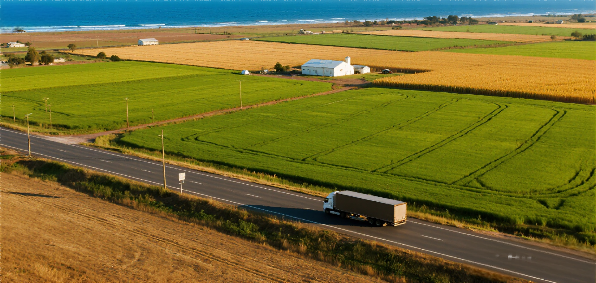 Pivoting East: How US Tariffs are Forcing a Strategic Overhaul of South Africa's Agriculture