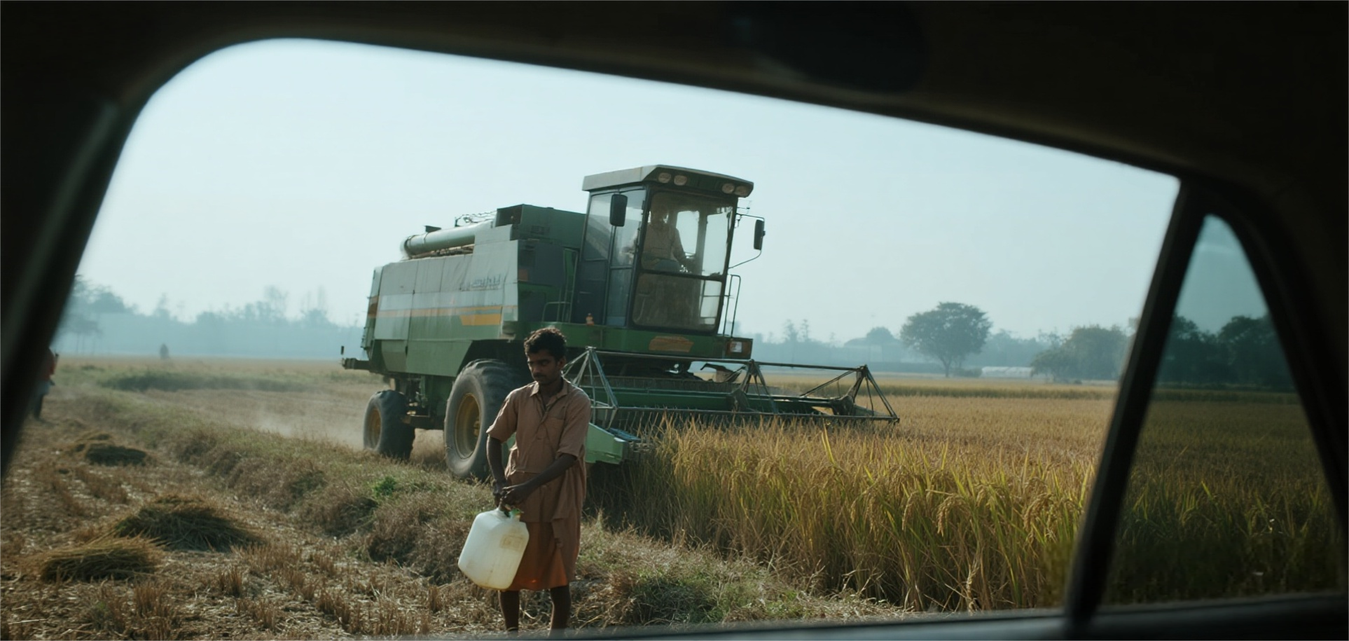 Punjab Pesticide Ban Stayed by Court, Basmati Rice Industry at a Crossroads