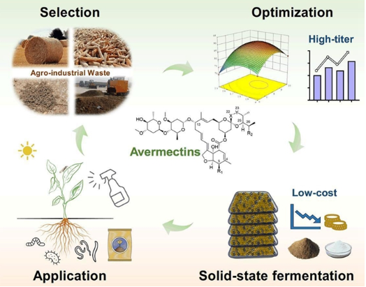 A Green Revolution in Biopesticides: Chinese Scientists Turn Waste into Value, Slashing Both Costs and Environmental Footprint for Key Pesticide Production