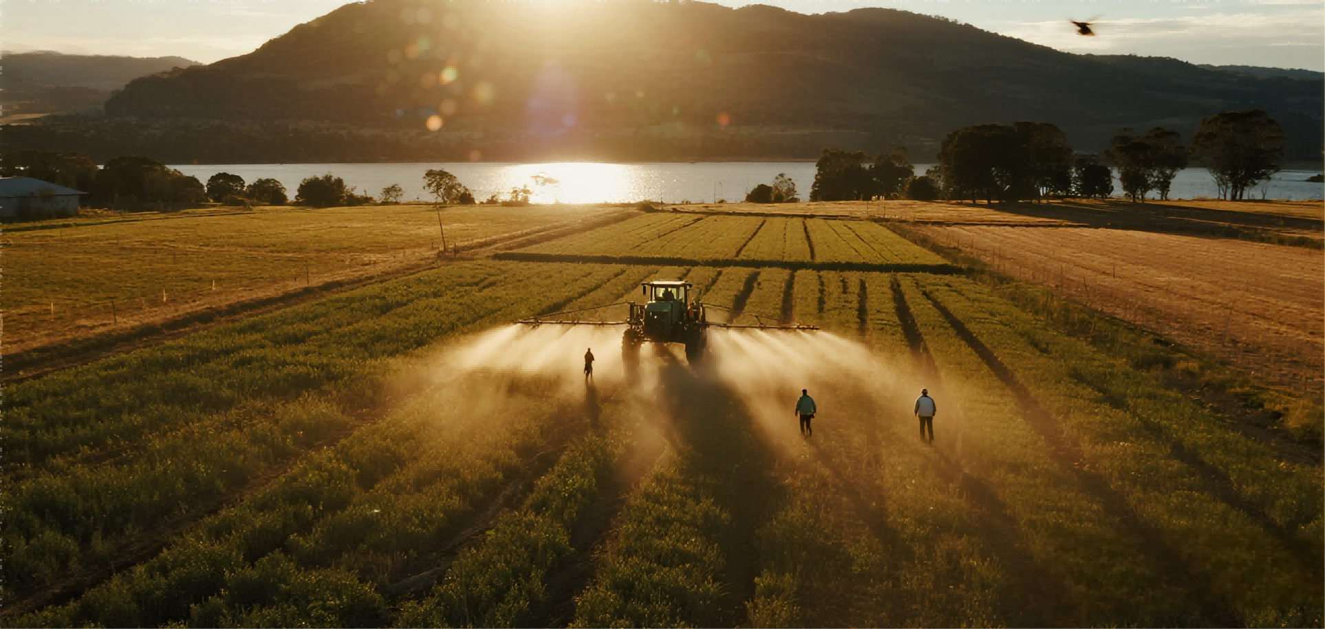 Major Shift in Australian Agricultural Chemical Regulation: Fenitrothion Faces Strict Restrictions Over Safety and Environmental Risks