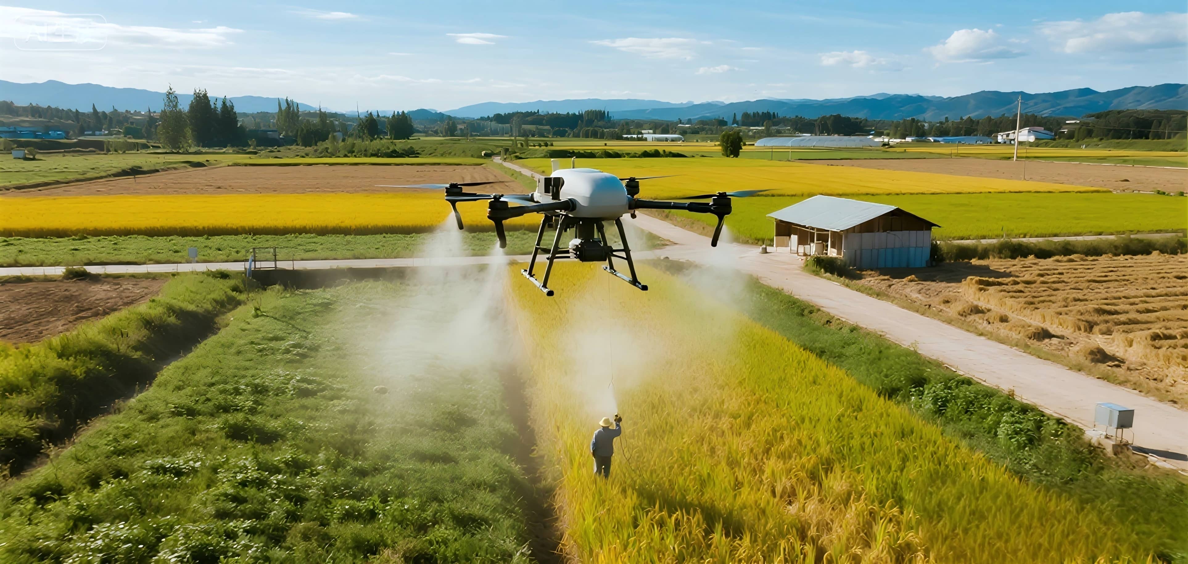 Securing the Autumn Harvest: The "One-Spray, Multi-Effect" Technique Boosts Stable and High Yields